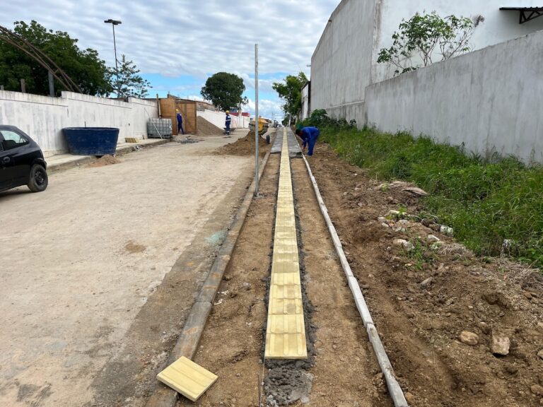 Portfólio